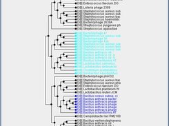Main window displaying a hierarchical tree
