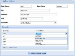 Example Input Form with Detail Grid created without J.S