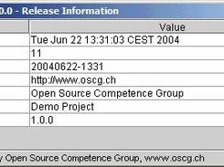 Optional swing viewer showing build information.
