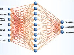 Ejemplo de red neuronal