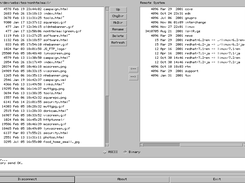 List remote files
