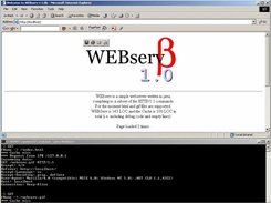The web server up and running.