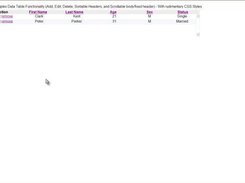 Initial Datatable display with Add, Edit, Remove functions.