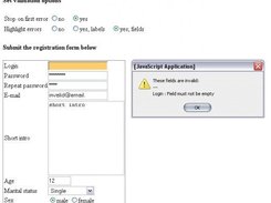 Sample form validation 2