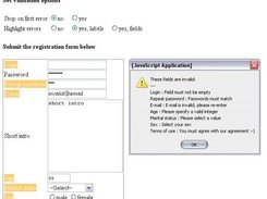 Sample form validation