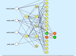 JSGL: Neural Network Evolution