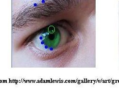 Iris detection examples 4-6.