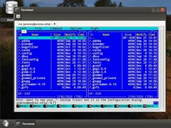 VT 100 Terminal application