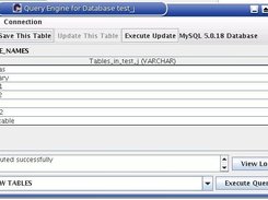Running a query