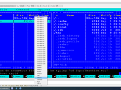 Choose any encoding