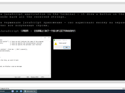 You can write and run your own javaScript application
