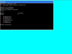 Terminal Screenshot 1