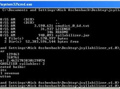 The main class running from the command prompt on Windows XP