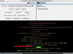 karyoscope example