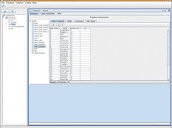 Interface screenshot of an opened DB