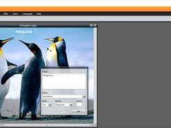 Create graphics to use in website