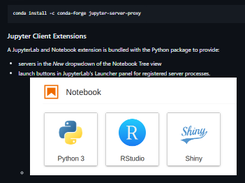Jupyter Server Proxy Screenshot 1