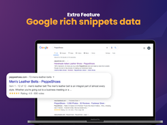 Google Rich Snippets Data