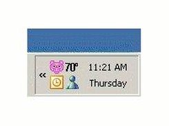 Tray Icon (It's the pig)