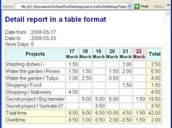 Sample of report