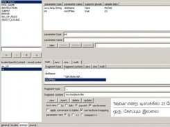 4. shows closeup of editor - parameterization and plurals