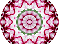kaleidoscope painter Screenshot 3