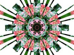 kaleidoscope painter Screenshot 4