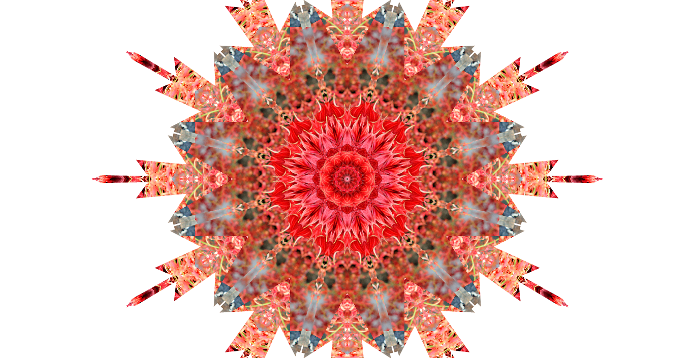 kaleidoscope painter download kaleidoscope painter download