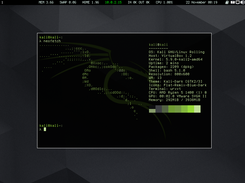 kali-i3wm Screenshot 3