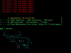 Metasploit-Framework