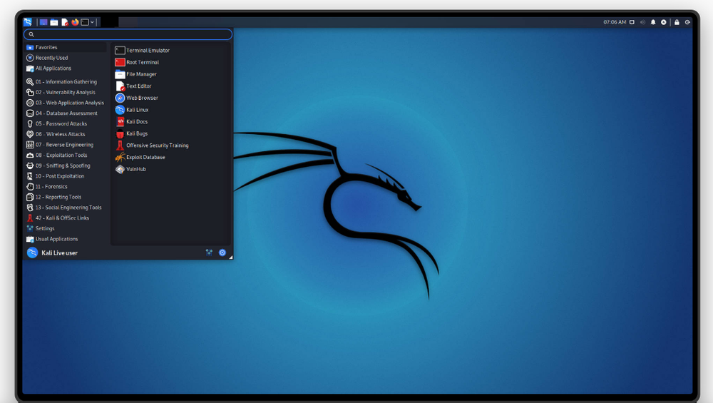 Kali Linux Screenshot 1