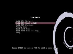 The live boot screen