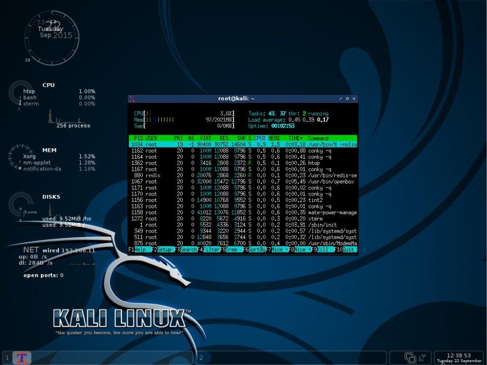 How To Download Kali Linux