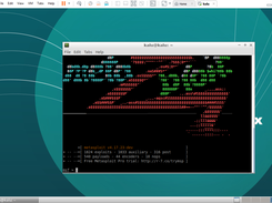 Kalu Linux Screenshot 2