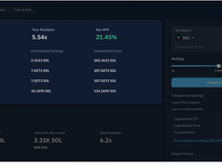 Kamino Finance Screenshot 1