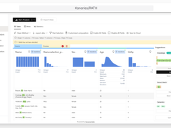 Kanaries RATH Screenshot 1