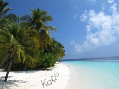 KaOS Torrents Screenshot 1