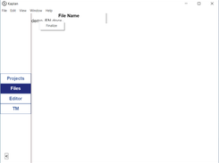 Files View - Finalize File