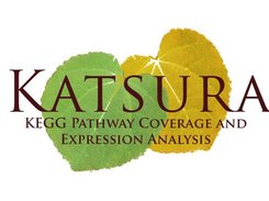 Katsura Logo