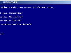 DNS Spoofing Function
