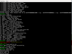 KeblaOS Screenshot 4