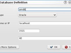 3. Kevora 1.0 - Editing a database definition