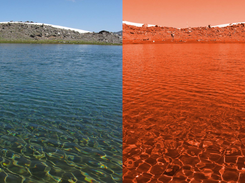 original and orange based image