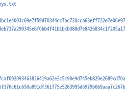 key-elf Screenshot 2