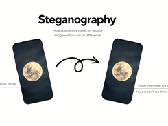 Steganography