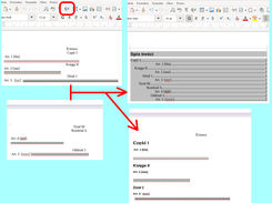 KeyParaStocX transformation of a document (PL)