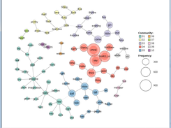 Co-occurrence Network