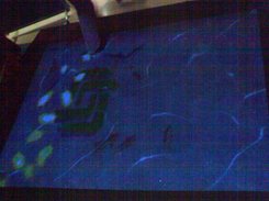 People leaving a trace of stars