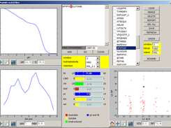KimPeptid main window