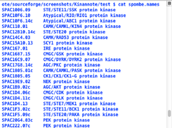 standard gene product names